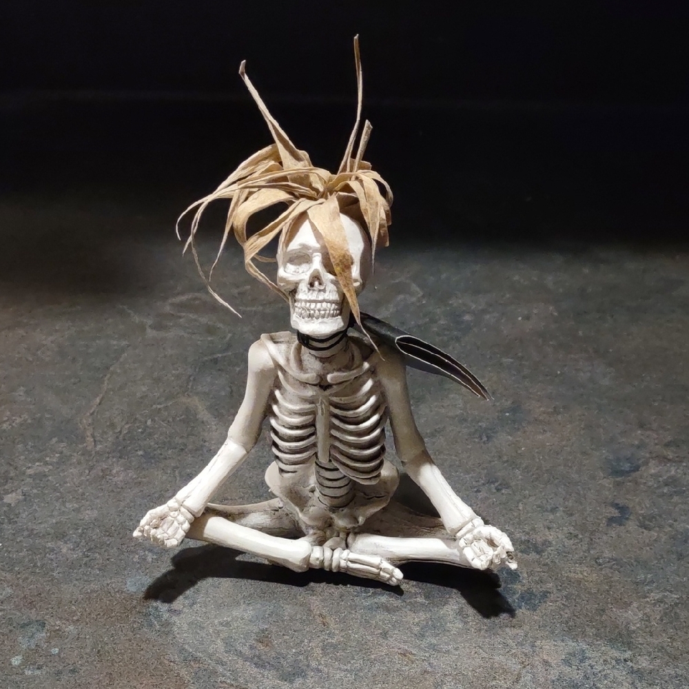 Trader Joe's Skeleton Succulent Planter